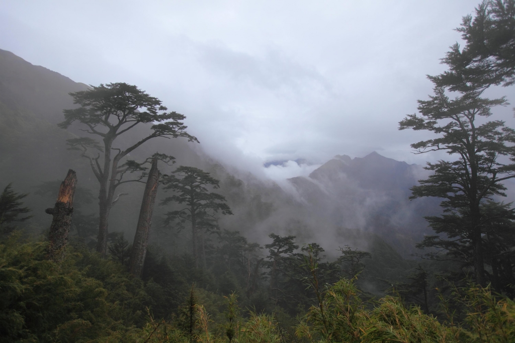  能高越嶺古道_2860