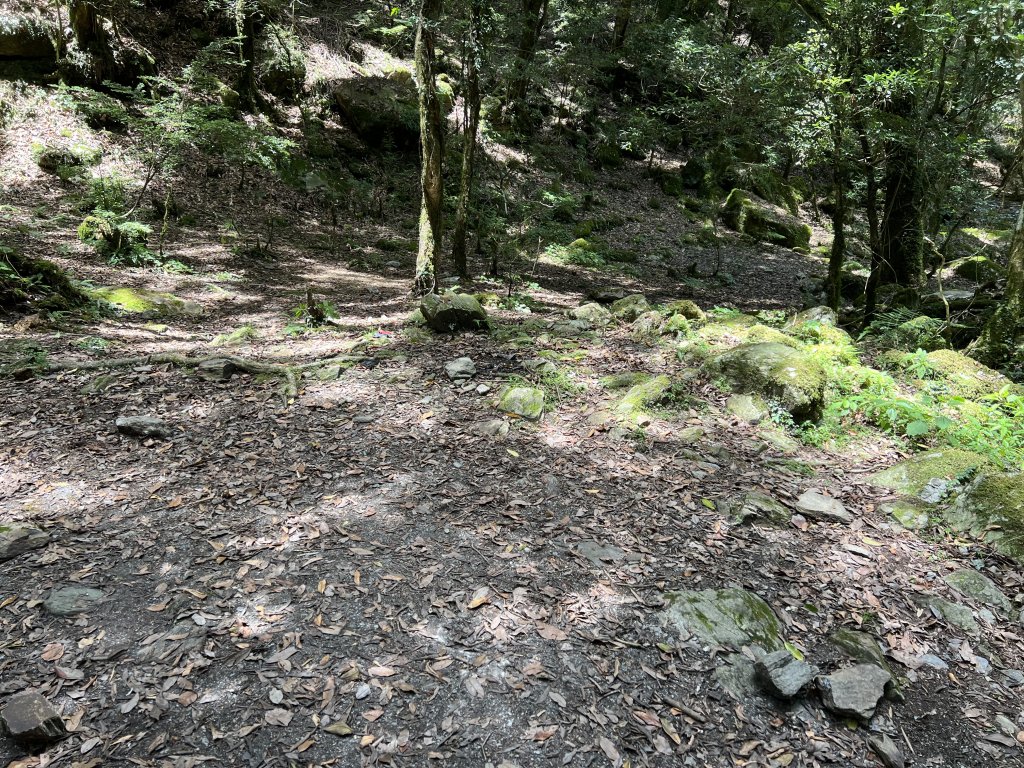 【能高安東軍】D3 屯鹿池、安東軍山與奧萬大_2239440