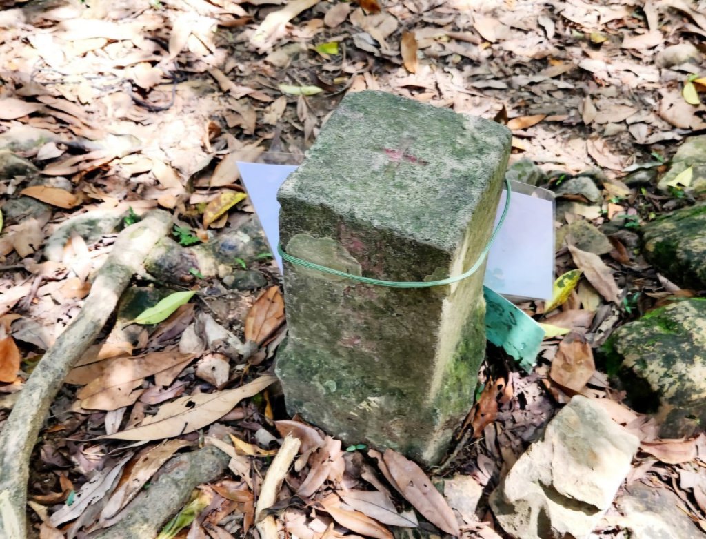 【中級山】拔刀爾山，縱走美鹿山南峰_2743625