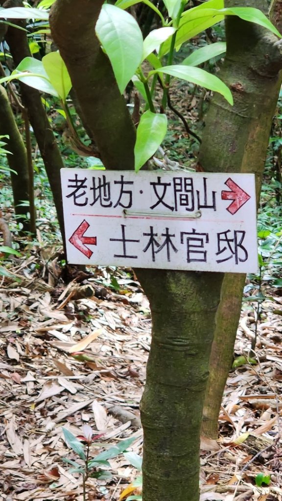 劍潭山老地方封面圖