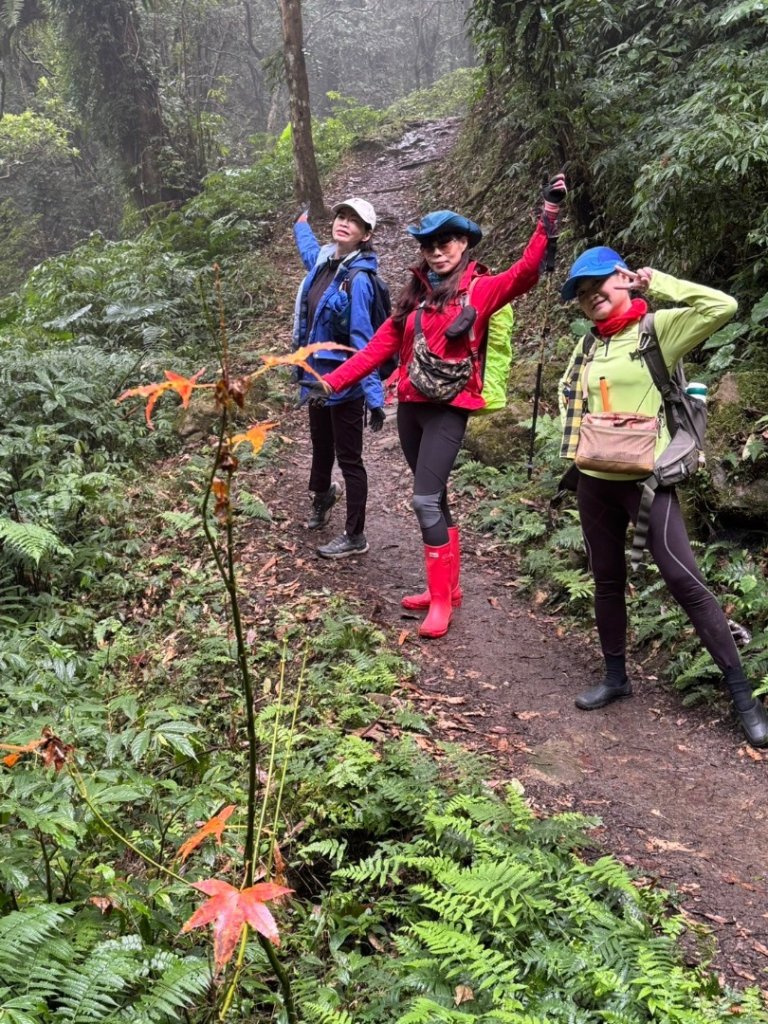 小百岳馬那邦山(H1407m)加碼採草莓_2694706