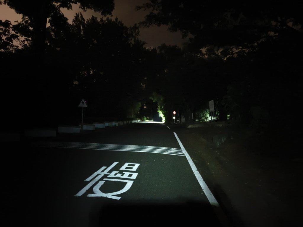 [漫遊縱谷 愛在花東-10/10] 2025_1012 美崙山步道_2913582
