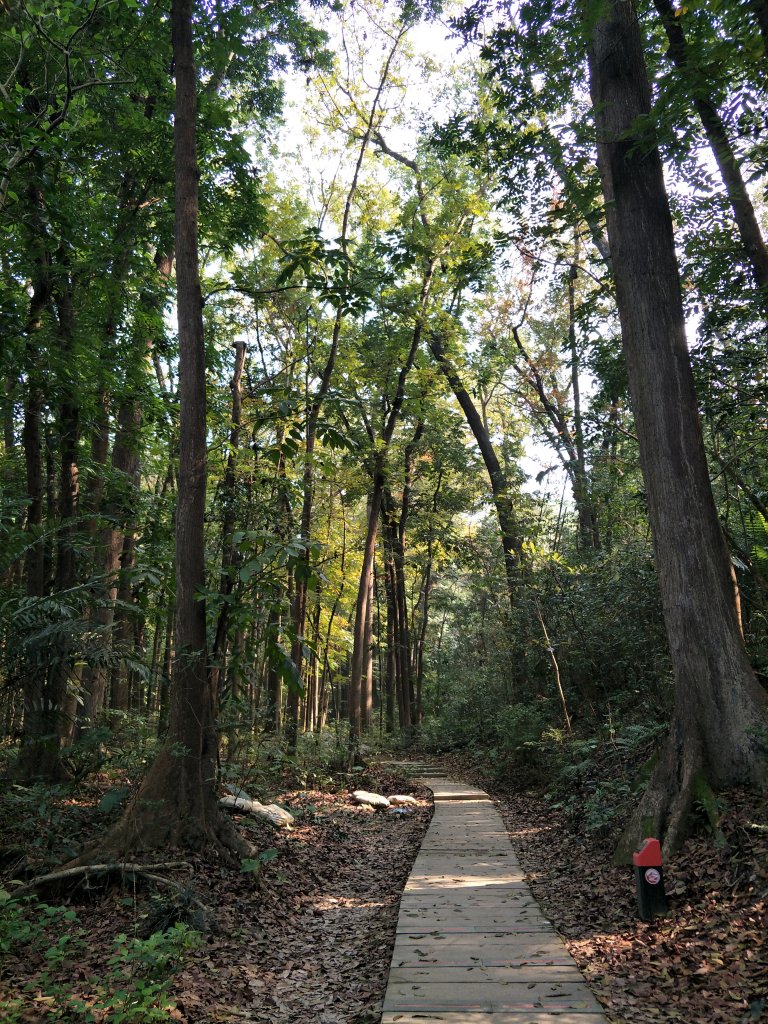 2019 03 27 紅毛埤山&大湖尖山_552954