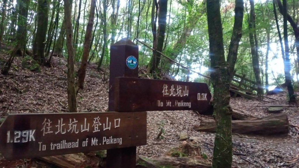 20221119 苗栗泰安雪見遊憩區 北坑山走走_1919785