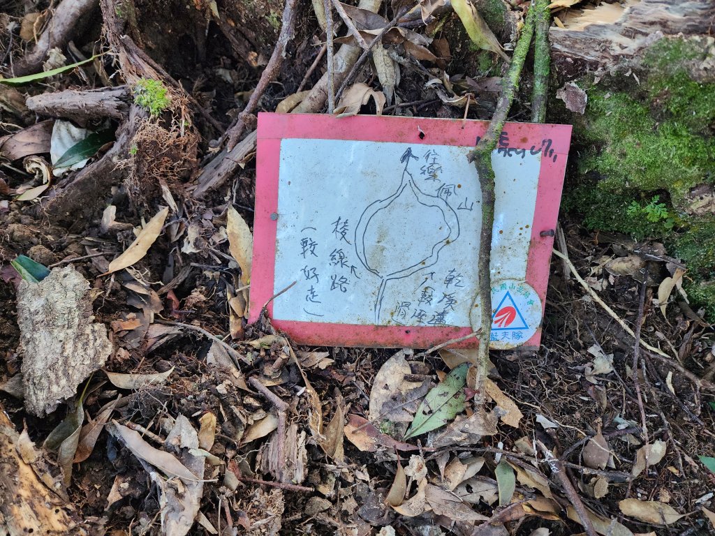 20250302樂佩山_2754730