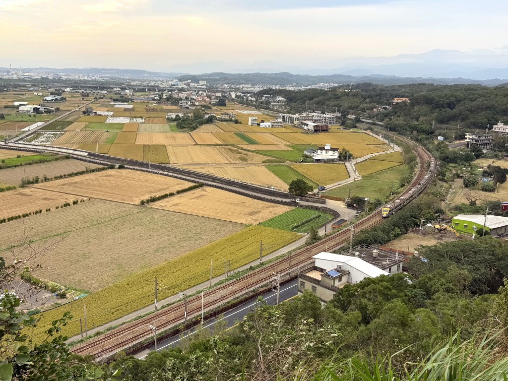 鄭漢步道 賞火車 20241123封面圖