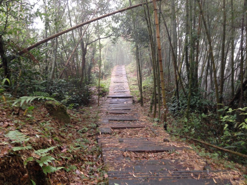 2017-12-9雲嘉五連峰_221707
