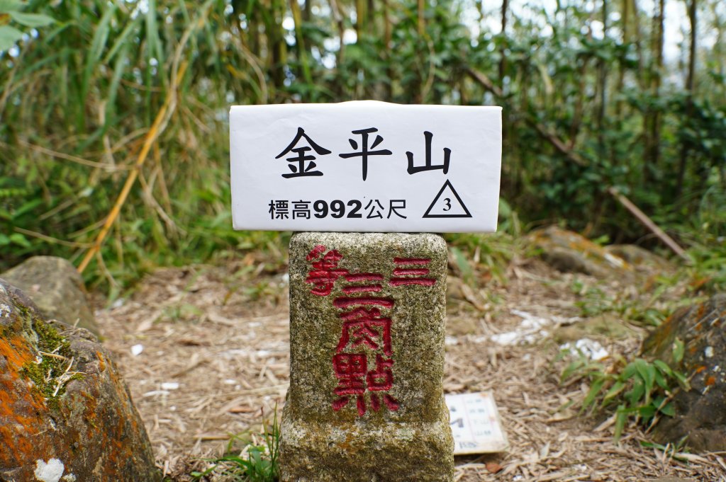 桃園 復興 牌子山、金平山_2952223