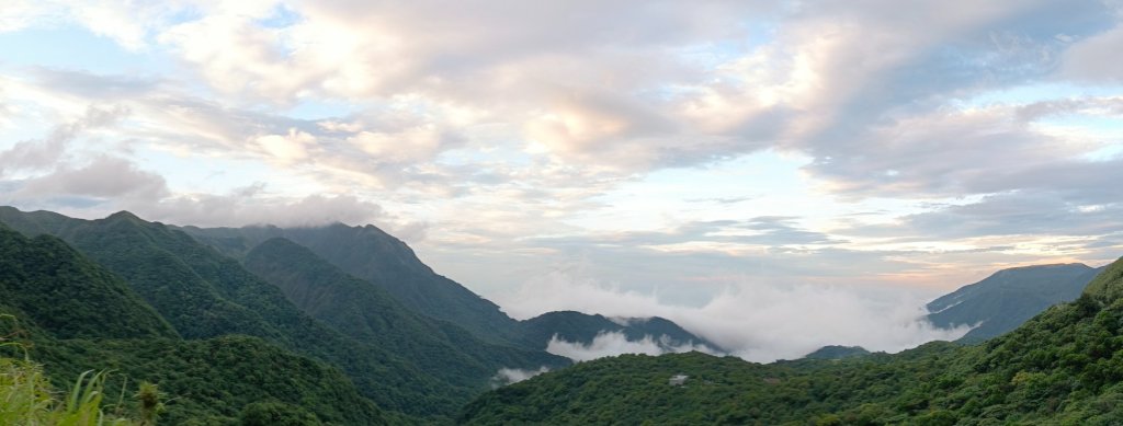 金山灣雨瀑+漁火點點，追花是簡單的快樂，賞花是恬淡的幸褔_2513403