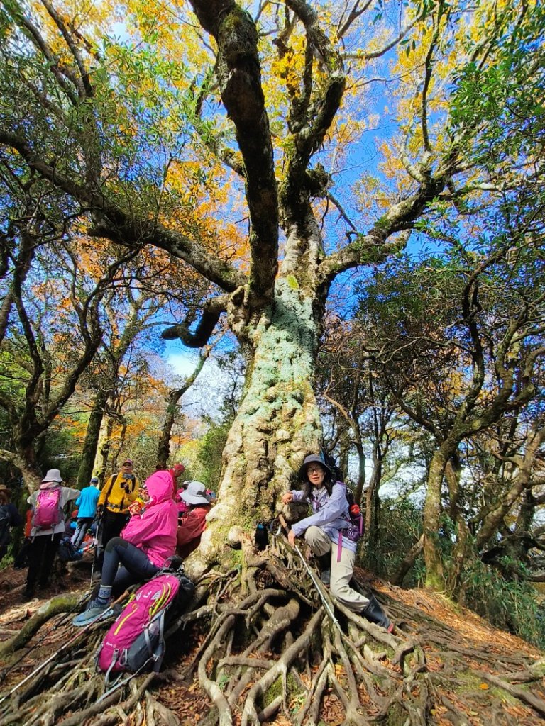 1121125 鳥嘴山縱走貴妃山_2363968