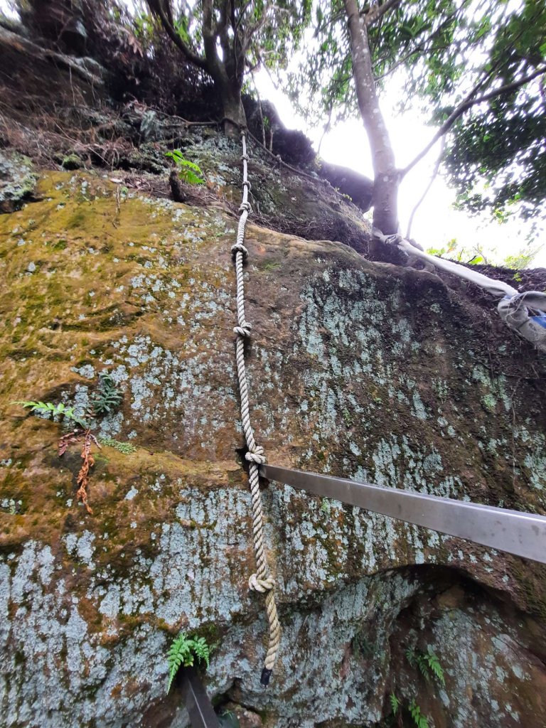 20230715 白雞三山 (鹿窟尖山-雞罩山-白雞山)，高CP好吃的食三麵屋_2219379