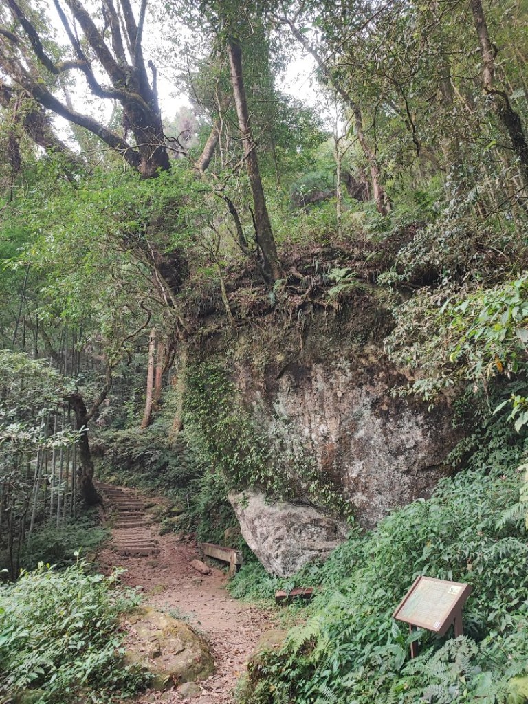 奮起湖大凍山-小百岳#60-嘉義縣竹崎鄉_2441016