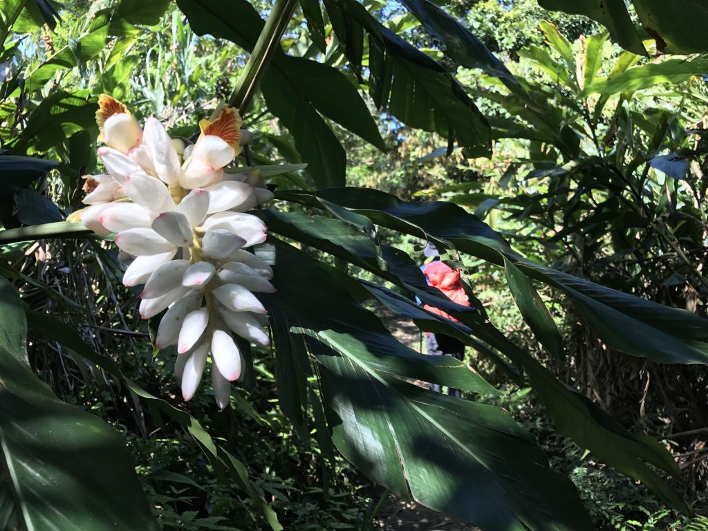 大艽芎縱走新溪洲山_120655