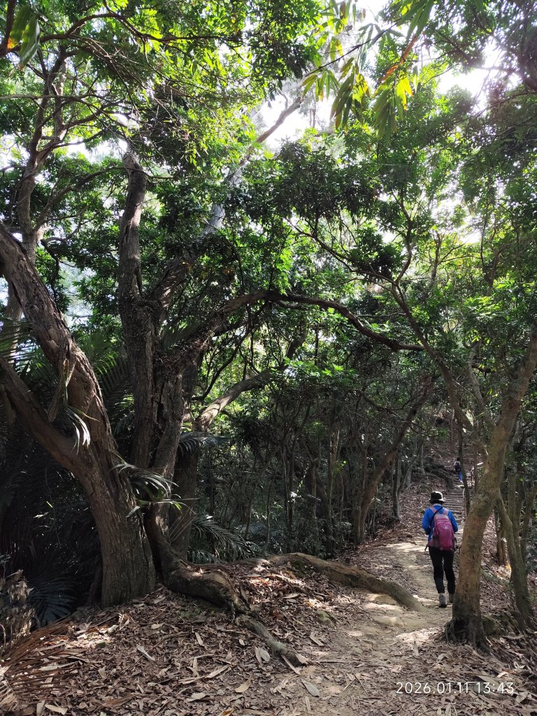 【臺中必訪步道】大坑9、10號步道  【小百岳集起來】#42 南觀音山_3009483