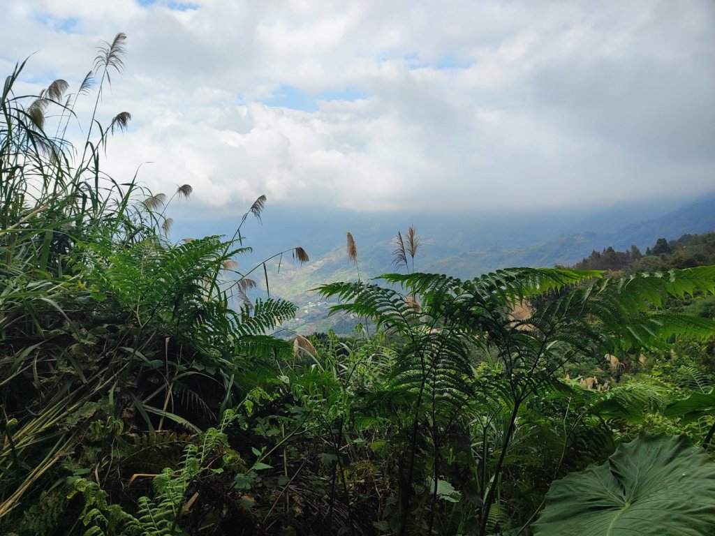 馬那邦山_2666820