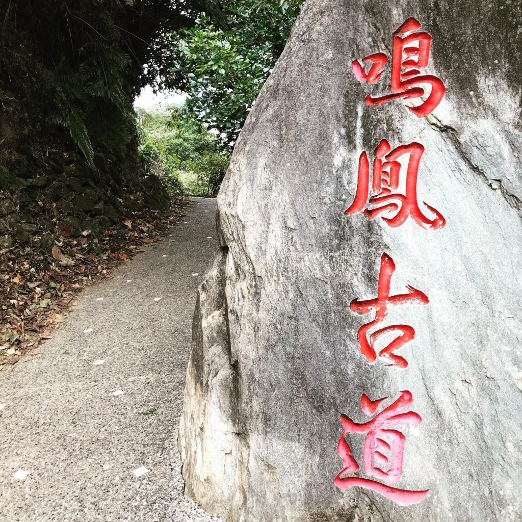 苗栗獅潭-鳴鳳古道封面圖