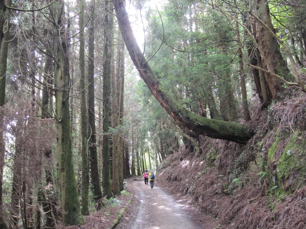 處處都是美景的合歡溪步道_1026191