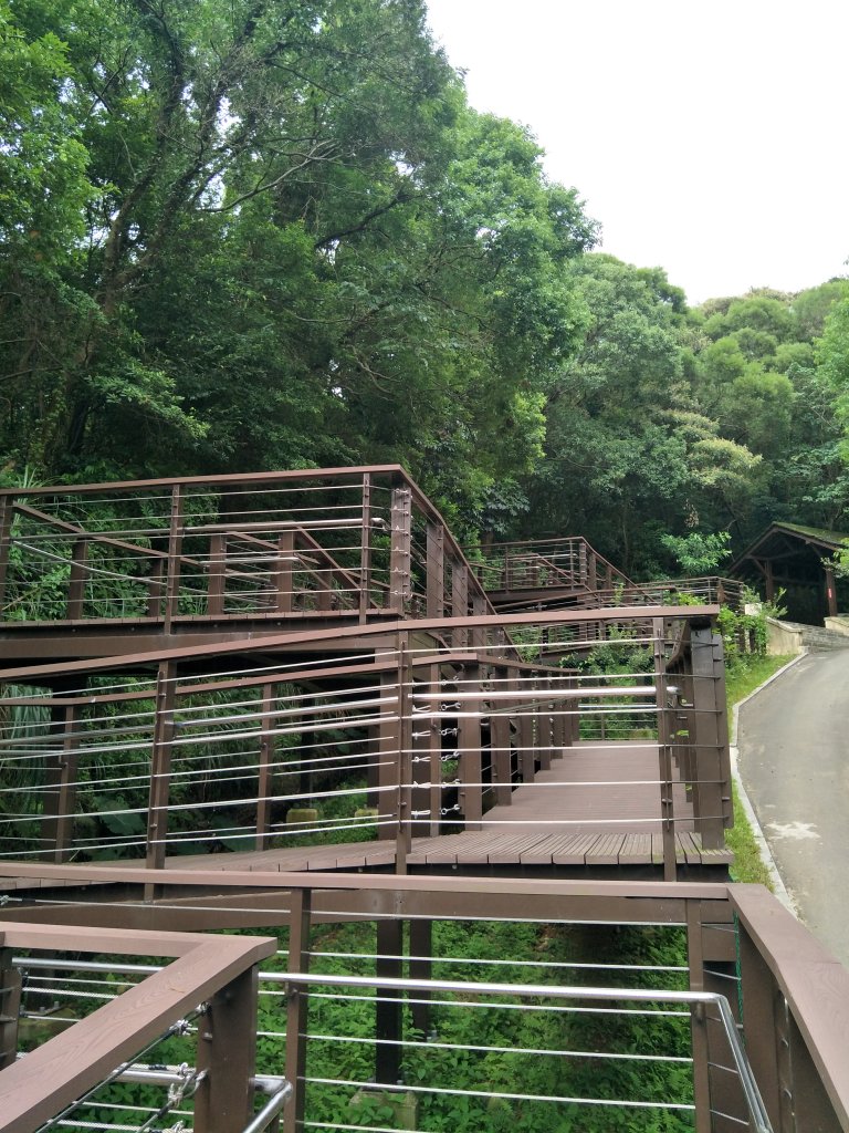 桃園虎頭山步道_1782114