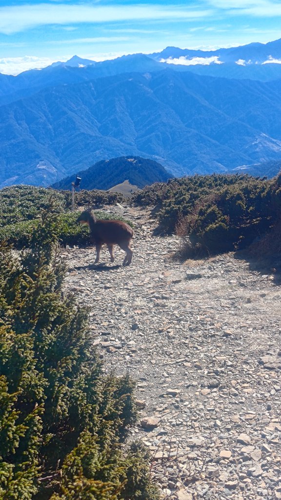 雪劍縱走_2960527