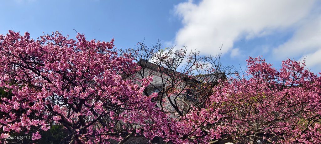 天元宮了嗎？2/3&10_2992623