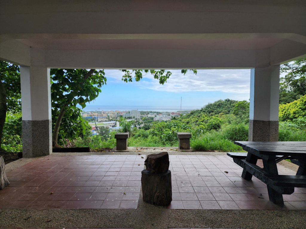 台東｜鯉魚山_2638606