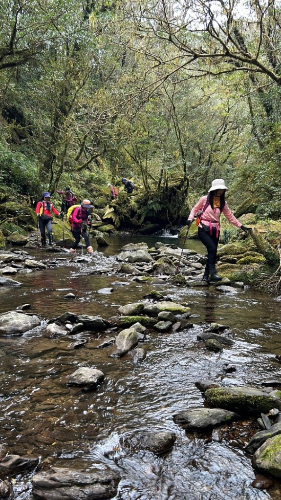 復興赫威神木_2748189