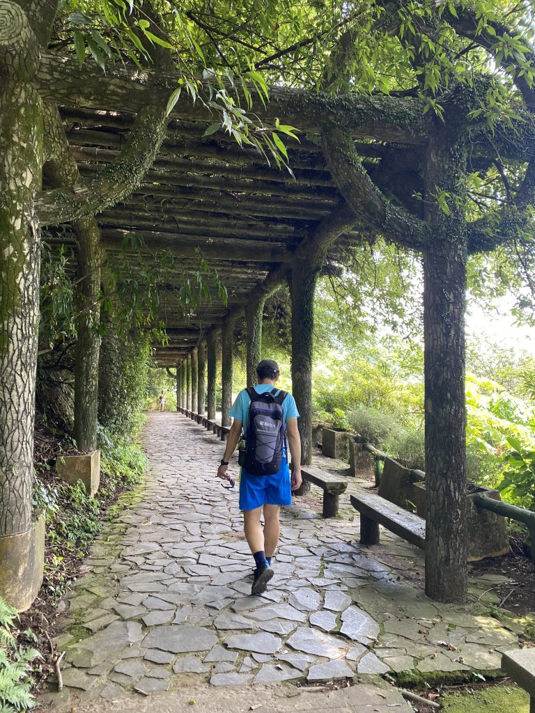 《十八份水圳步道 × 草山觀瀑吊橋 × 大屯瀑布 × 小隱潭瀑布｜陽明山夏日消暑健_2856073