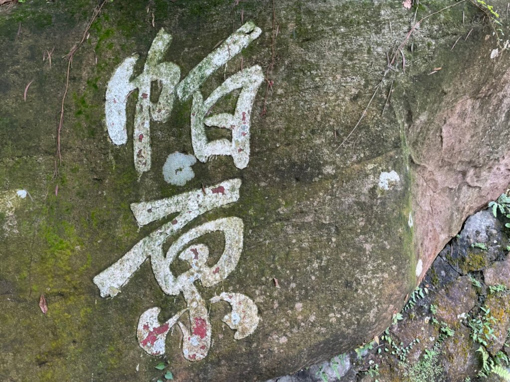 帕米爾公園封面圖