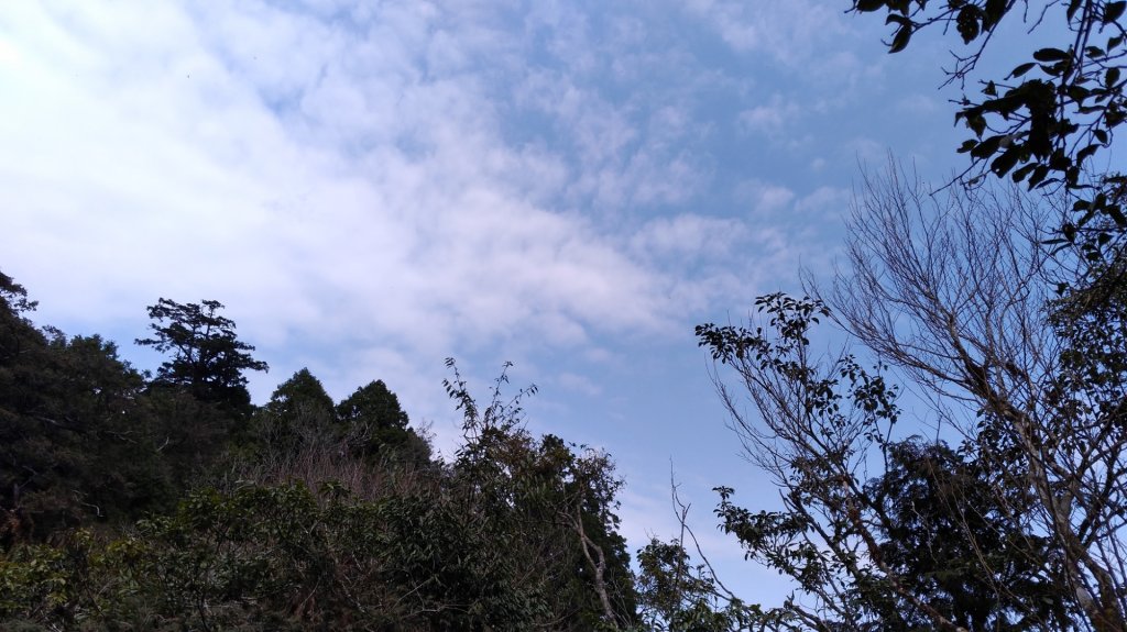 塔魔巴縱走_871345