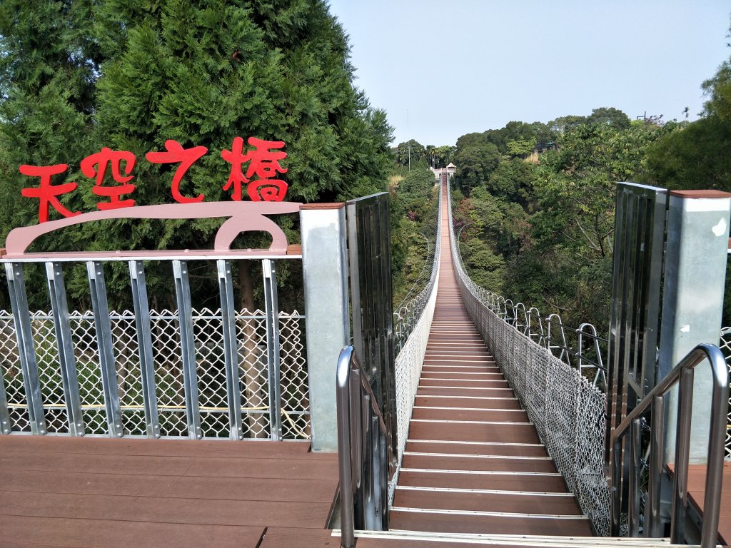 猴探井天空之橋封面圖