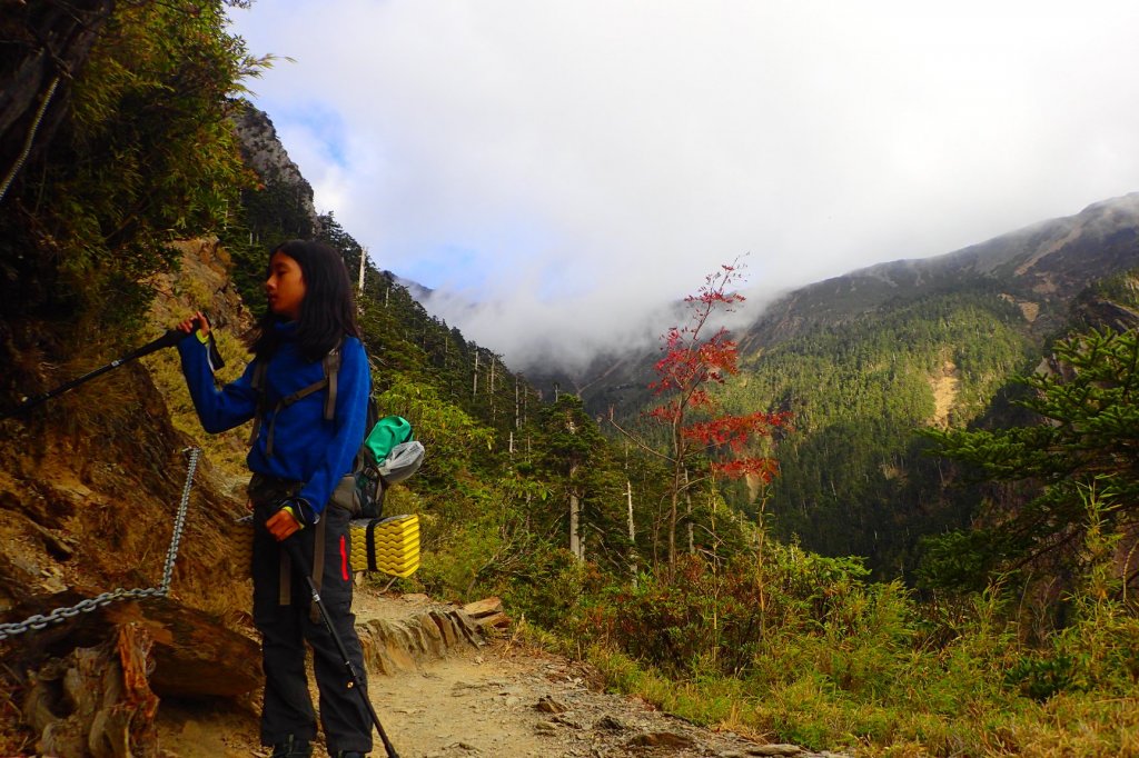 登峰造極--2018玉山主峰_532505