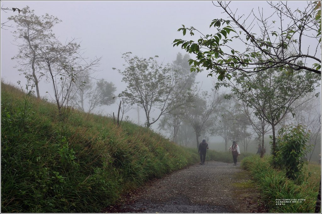 萬人山-2023年11月12日_2347819