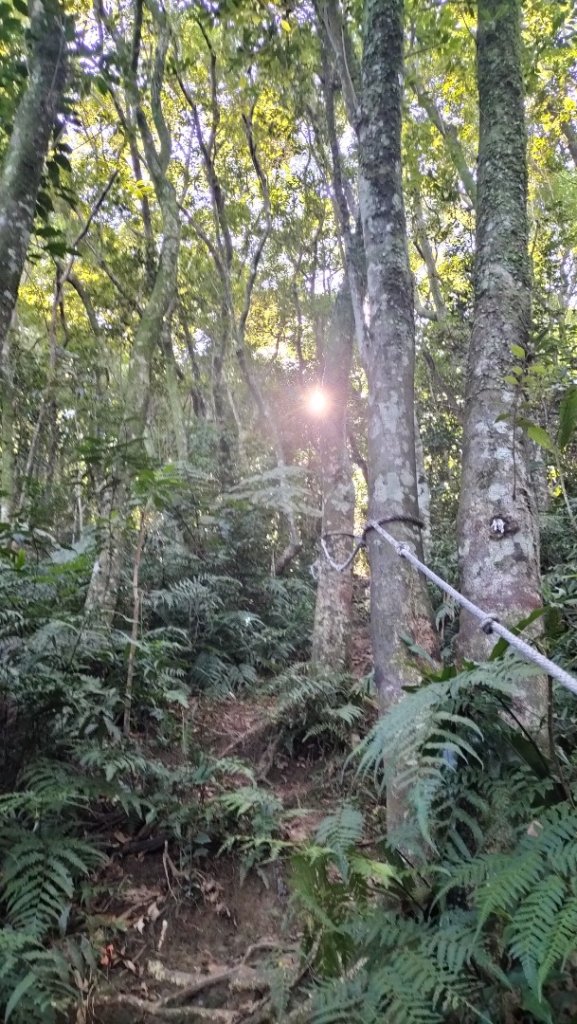 銀河-樟湖-鵝角格山-三玄宮山-指南路三段40巷--包種茶推廣中心-天恩宮-貓纜站-樟湖封面圖