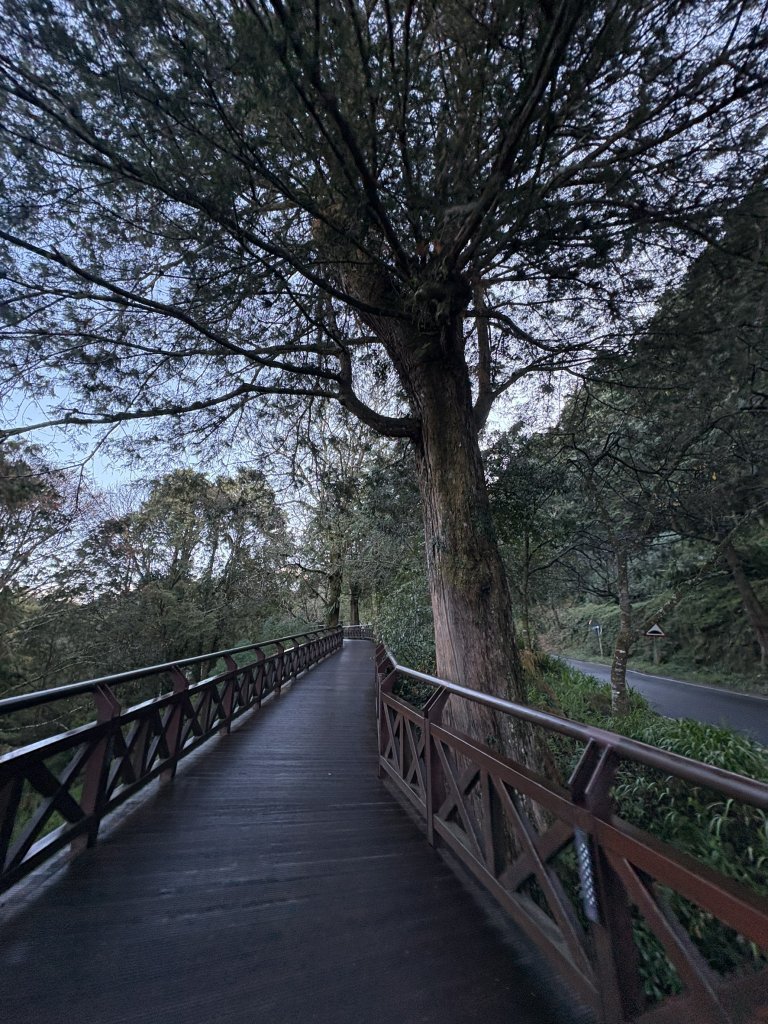 20251225塔山步道(大塔山)_2970228