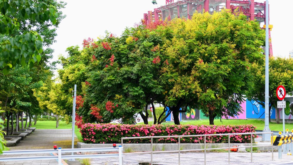 台北印象_2615260