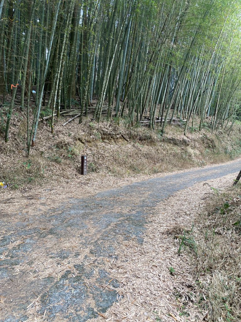 1120329奮瑞古道_2643511