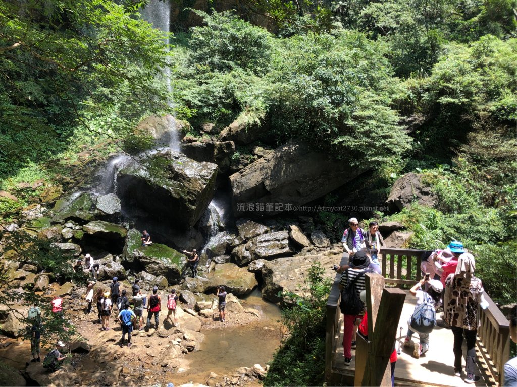 三貂嶺越嶺猴硐步道_1035698
