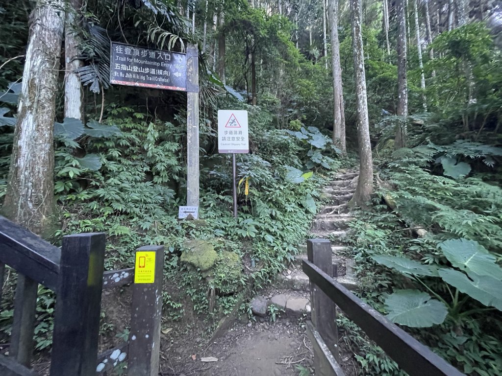 小百岳編號30-五指山112.11.04(原路折返)_2336903