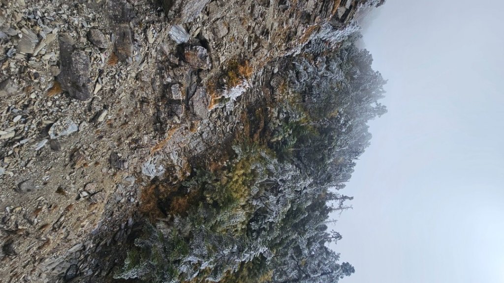 112.3.13～3.14 冰封奇萊主北_2074447