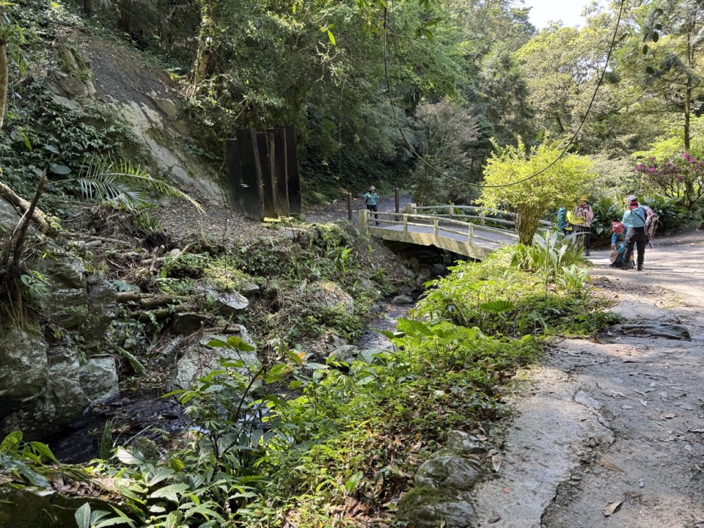 2025/03/21 聖母山莊 抹茶山 三角崙山_2935089