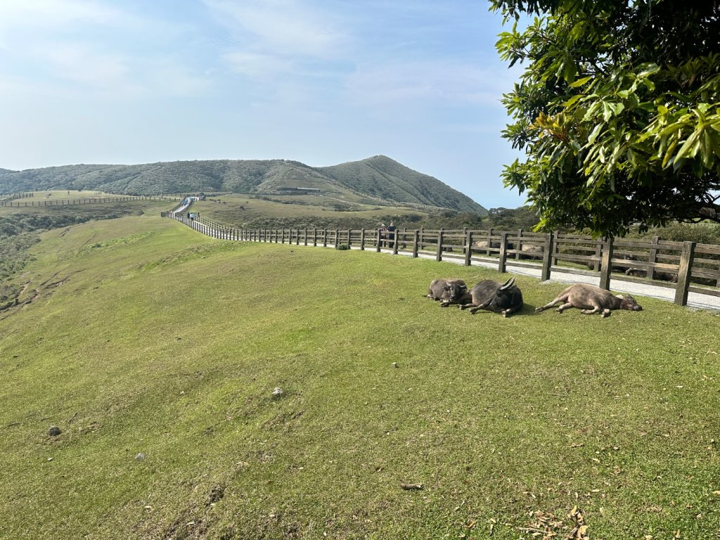 002七星山_2598691