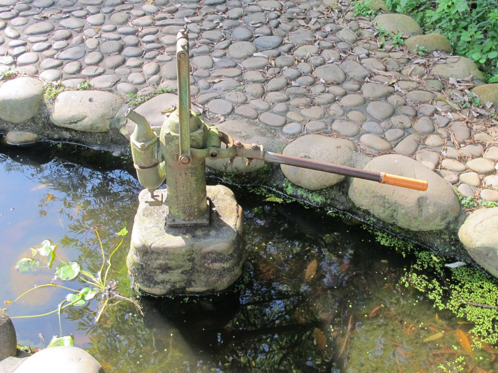 2019-07-25 竹坑-南寮登山步道_635934