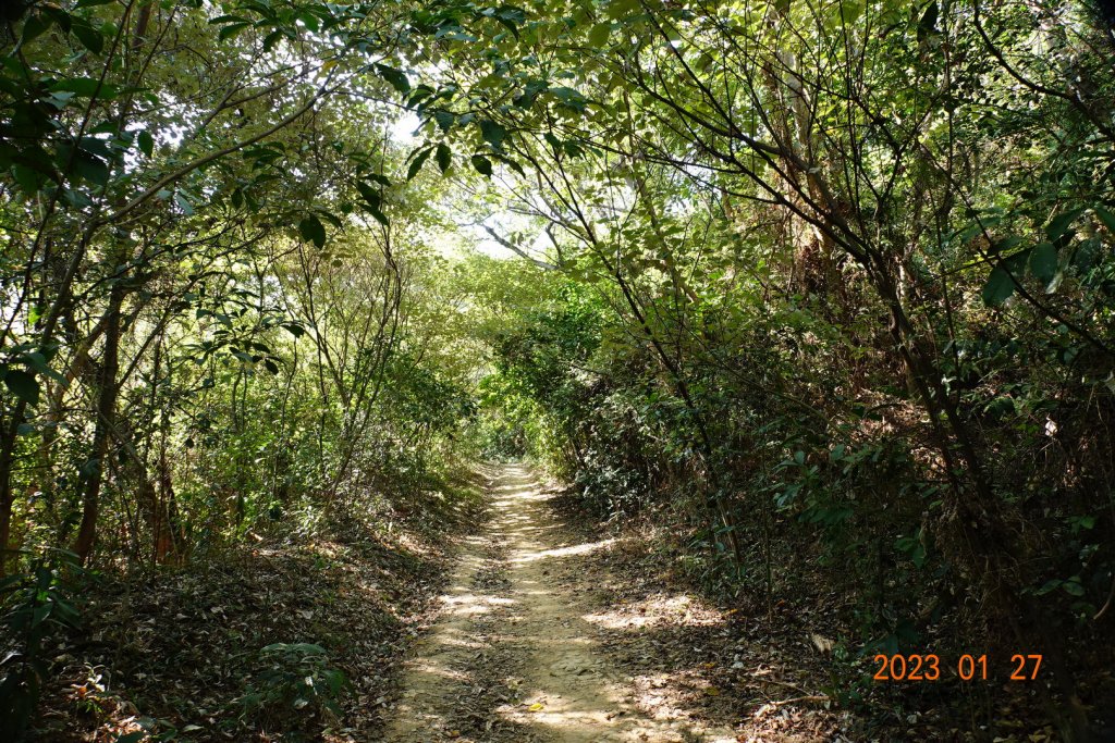 屏東 來義 棚集山、棚集下山_2019458