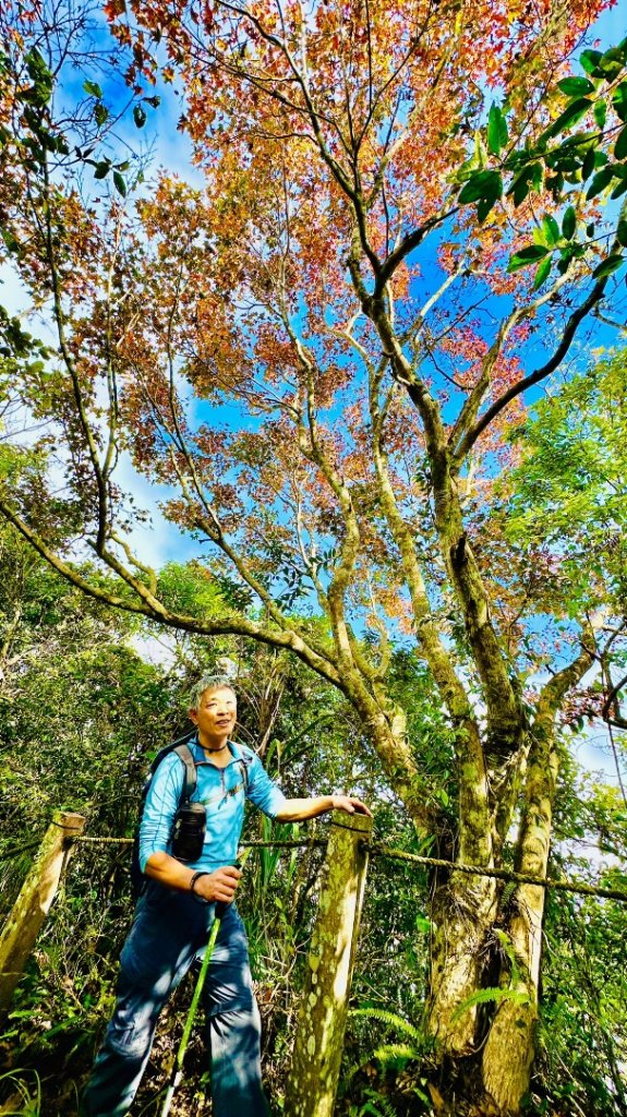 馬那邦山O走_2370077