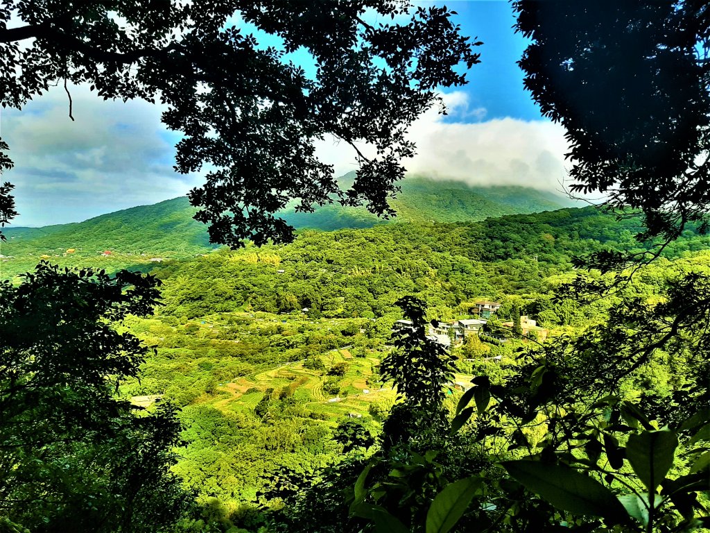 發現陽明山｜天母古道、擎天崗環形步道_1900908