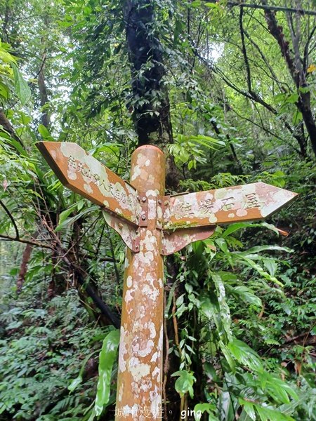 【新竹橫山】綠蔭夾道流水淙淙。2024森遊竹縣。 騎龍古道_2616210
