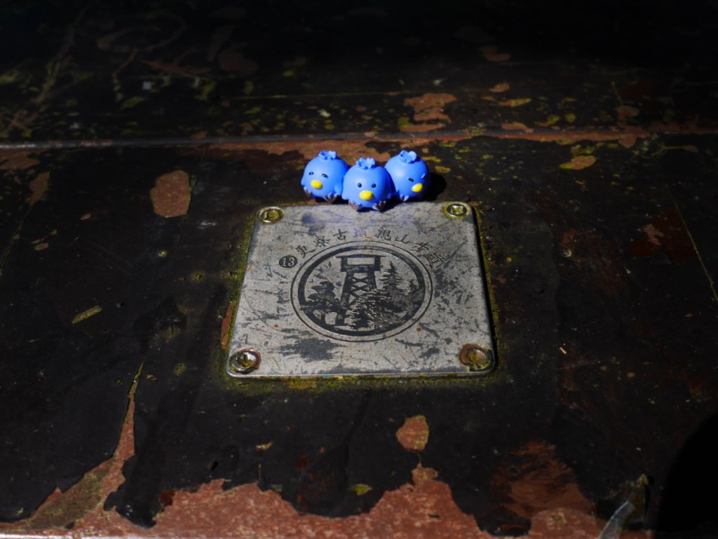 20220228｜土庫岳_1621777