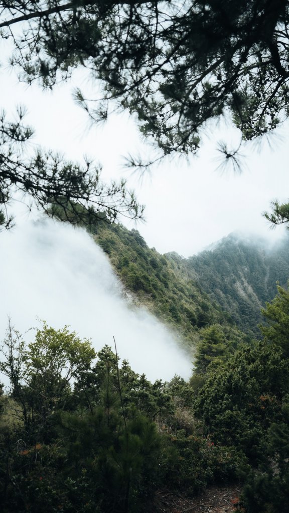 南橫百岳—庫哈諾辛山_2364840