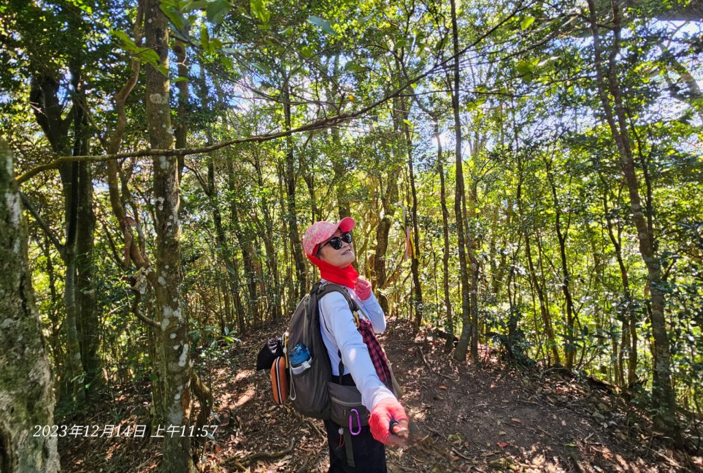 新竹尖石蓮包山+鴛鴦谷鰻潭瀑布O型走_2379115