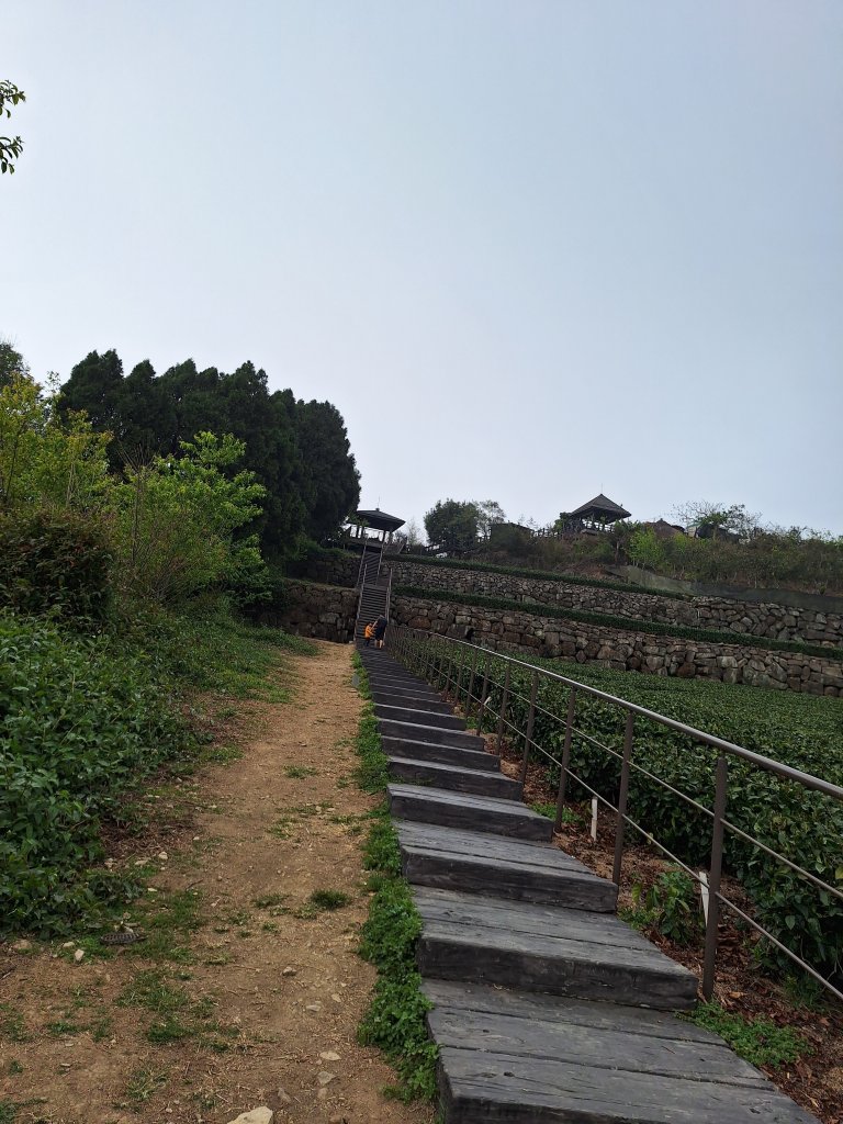 二延平步道+二延平山20240225_2439497